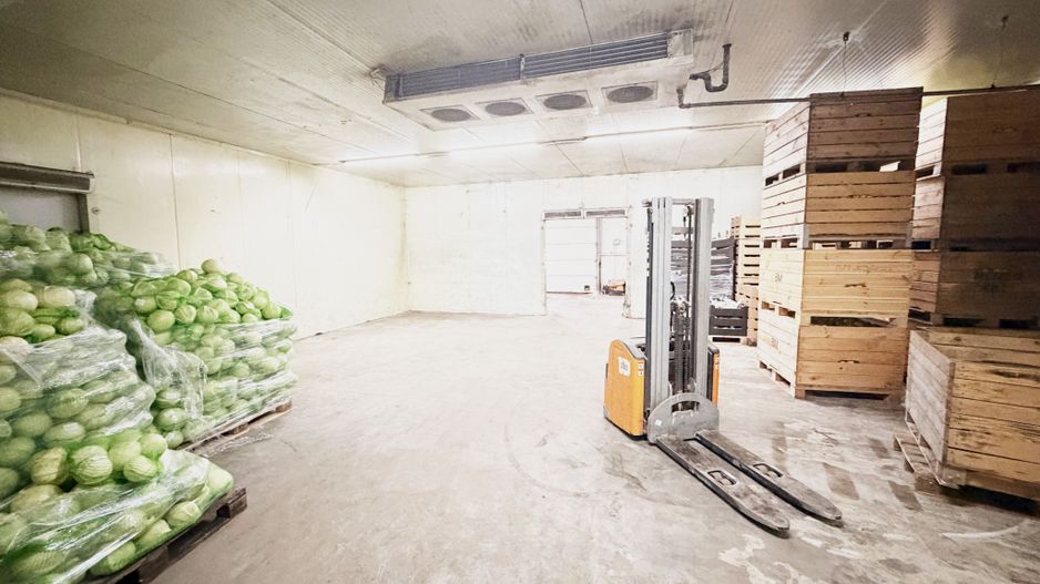 Hala industrială de vanzare Arad 540 mp, depozitare la rece, acces TIR - Poză 3
