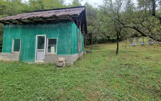 Casa individuala | 120 mp | 1342 mp teren | Livada | Cetea - Poză 12