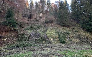 Teren 2.882 mp – oportunitate investitie - Cheile Dâmbovicioarei - Poză 4