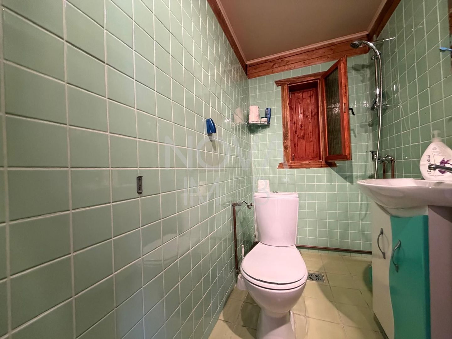 CASA DE VACANTA CU TEREN GENEROS, VALE – SALISTE - Poză 15