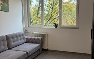 Apartament 3 Camere renovat Raul Doamnei, Drumul Taberei - Poză 13