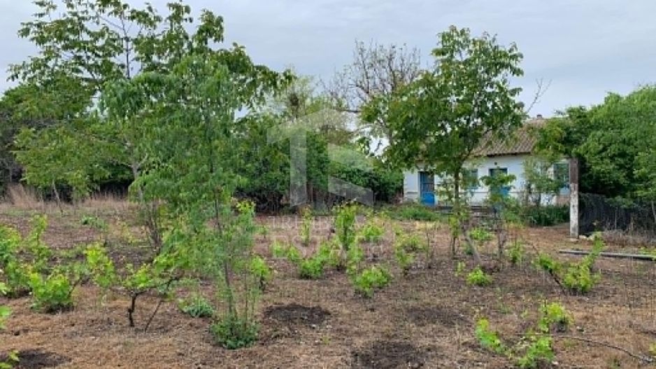Teren intravilan 2562mp Loc 23 August | Ideal locuiță sau casă vacanță - Poză 6