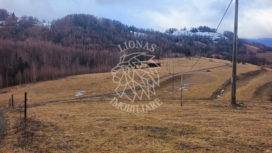 COMISION 0 TEREN TURISTIC EXTRAVILAN APROAPE DE PADURE VISAGU VLADEASA CLUJ - Poză 2