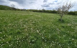 Teren 2,4 Ha cu utilități-Oportunitate Investitie-Herina - Poză 3