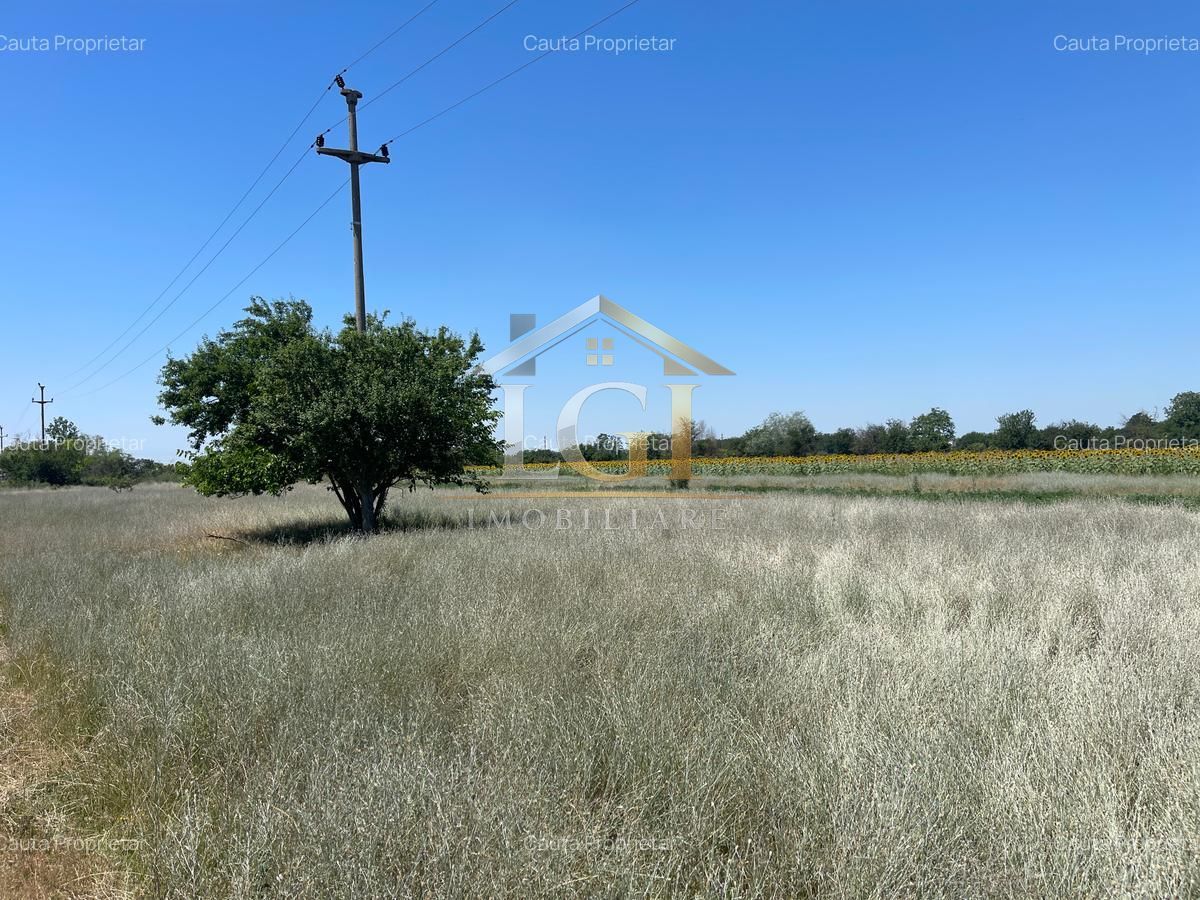 🌿 Teren de vânzare – Tărtășești ,12500 E - Poză 14