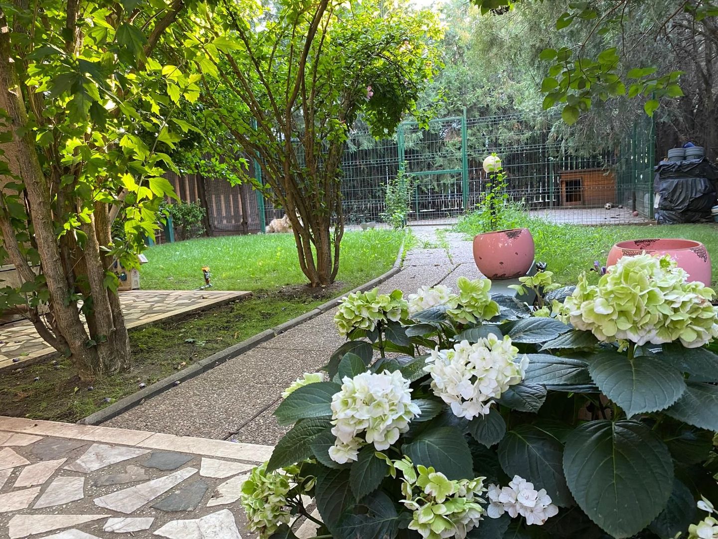 Vila 8 camere | padurea Baneasa | teren 383 mp - Poză 21