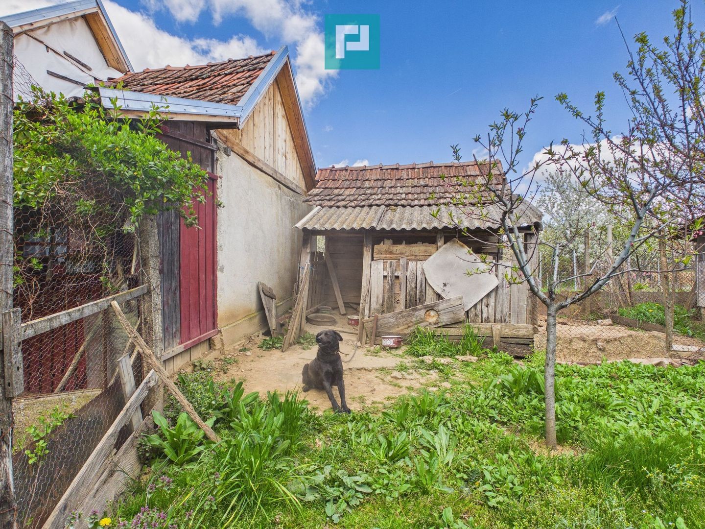 Casă cu teren 1.151mp la 25 km de Oradea, Sisterea - Poză 18