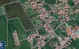 De vanzare teren agricol potential investitie, Pischia Jud. Timis - Poză 2