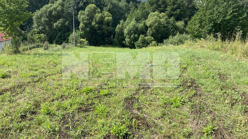 Teren Intravilan | 25 Ari | Voievodeasa - Poză 5