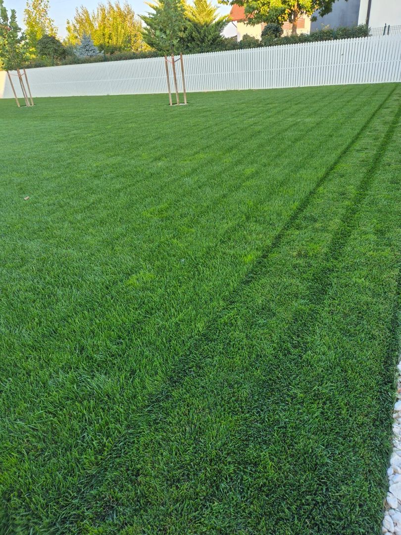 Locuinta individuala cu teren de 1000mp - Poză 6