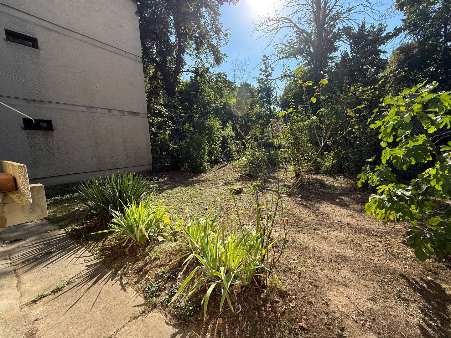 De vanzare 4 camere, curte exclusivă 250 mp, Str. Uruguay - Bucuresti - Poză 17
