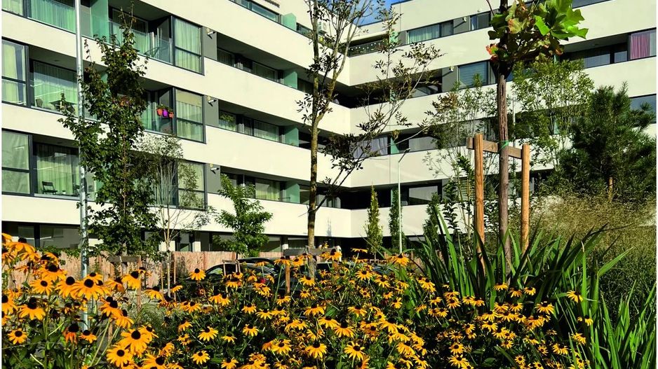 Apartament de vanzare 2 camere - Bucuresti Noi - Poză 8