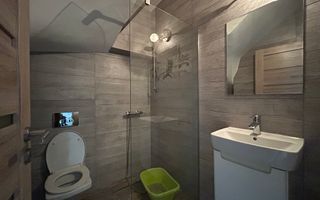 Inchiriere casa draguta in Someseni! - Poză 17