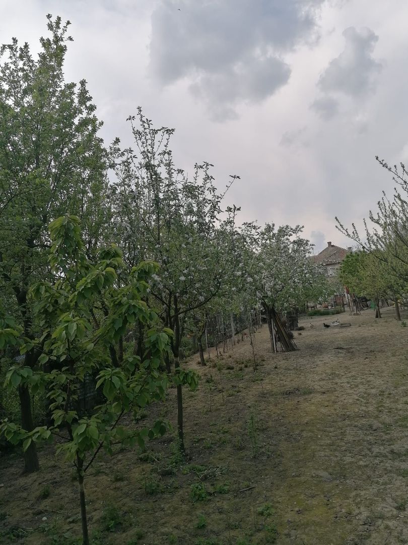 Ag EUROPA vinde casa 6 cam teren 11 ari în zona 14 Mai. - Poză 1