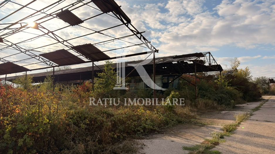 Fermă Sărand | Bihor | 25.659 mp teren intravilan - Poză 24