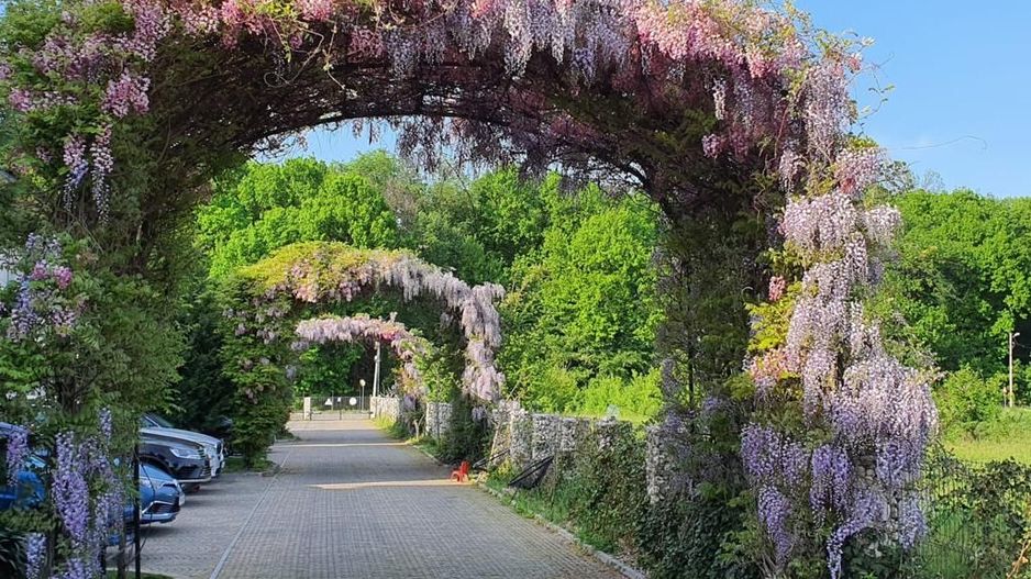 Vila 5 camere Avangarde Forest 4 | Mobilata complet - Poză 9