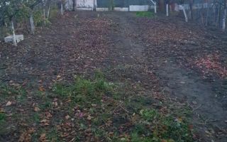 Casă spațioasă -190 mp | Sura Mare | Teren 885 mp - Poză 3