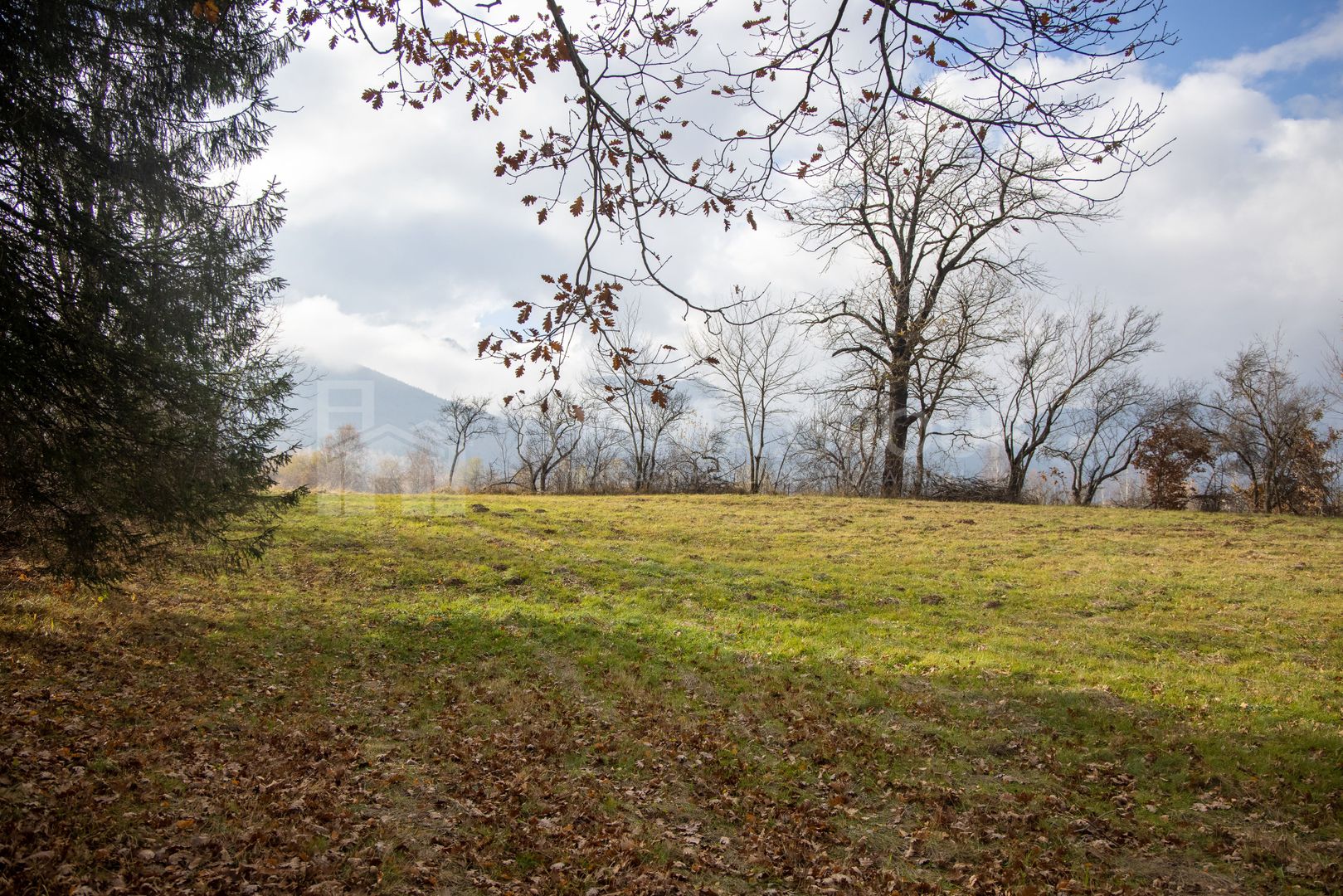 Teren intravilan, cu PUZ, Bran Tohanita,  SE ACCEPTĂ ȘI SCHIMB - Poză 4