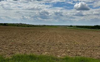 Teren Intravilan Inel Metropolitan - Poză 3