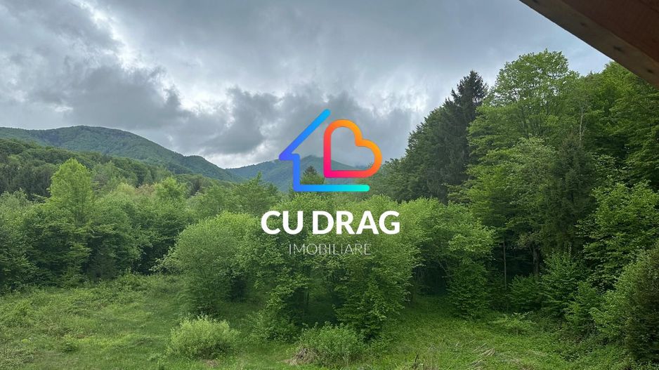 Investiție cu suflet: Pensiune de vânzare pe Valea Avrigului - Poză 8