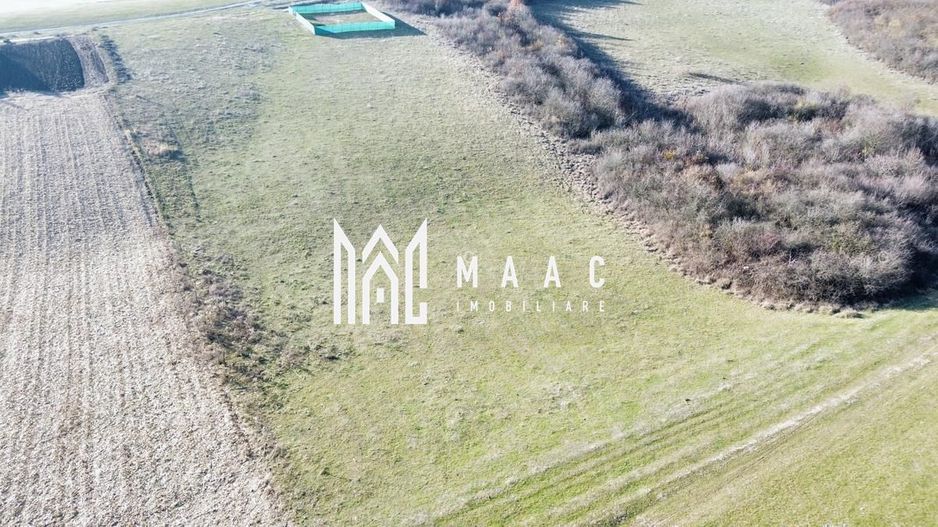 Teren | 651MP | Extravilan | Rusciori - Poză 8