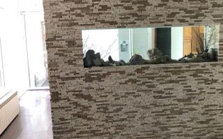 Casa zona Cetatii de locuit sau birouri - Poză 24