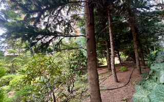 Apartament cu 5 camere parter + Gradina 100mp // Herastrau - Aviatiei - Poză 40