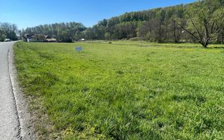Teren intravilan 8900 mp-Sacadat-Sovata - Poză 4