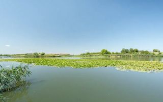 Vila exclusivistă de inchiriat | pe malul lacului Snagov - Poză 14