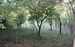 Casă cu suflet și priveliște de poveste – Crasna, Gorj - Poză 32