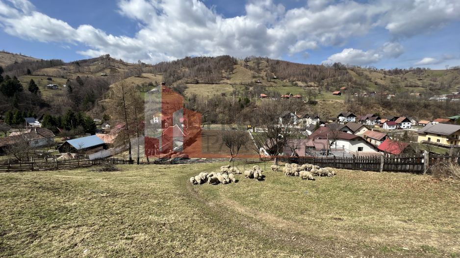 Teren Intravilan 9.194 mp, zona Bran - Simon - Poză 1