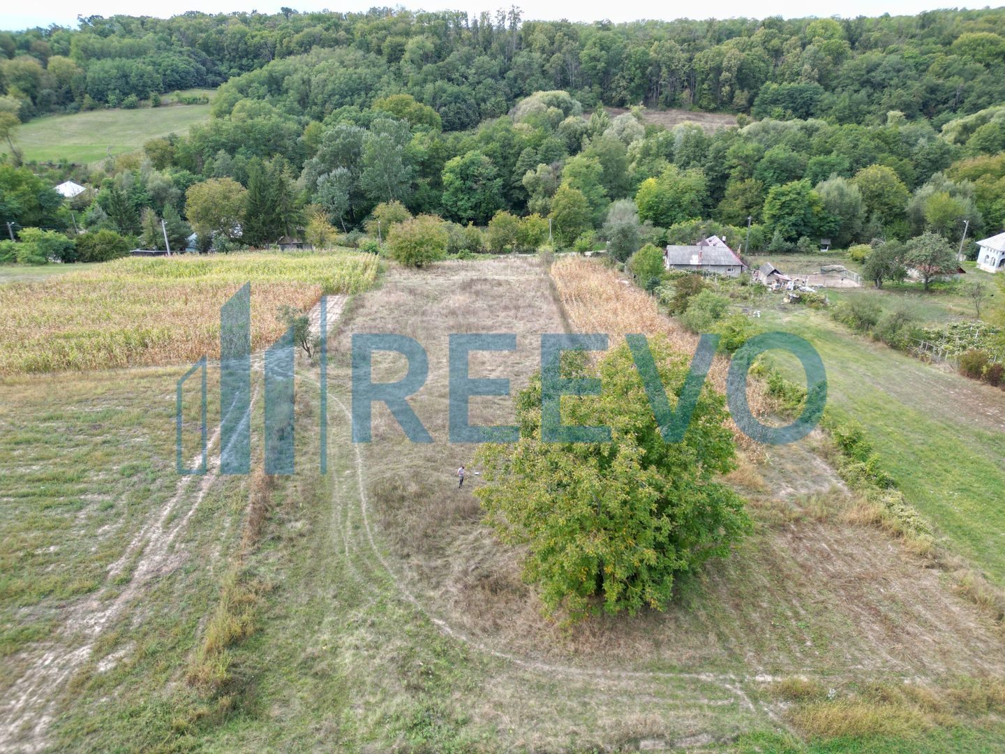 Teren intravilan lângă pădure, Racova - Poză 4