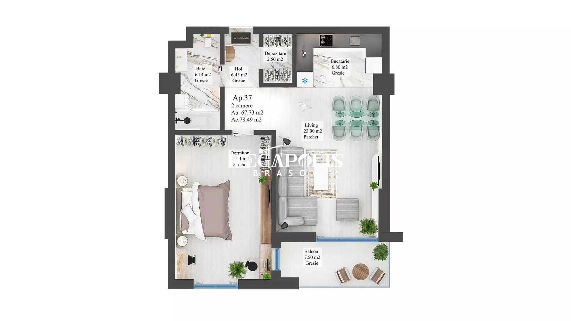 CARPATHIA Brașov - Poză 13