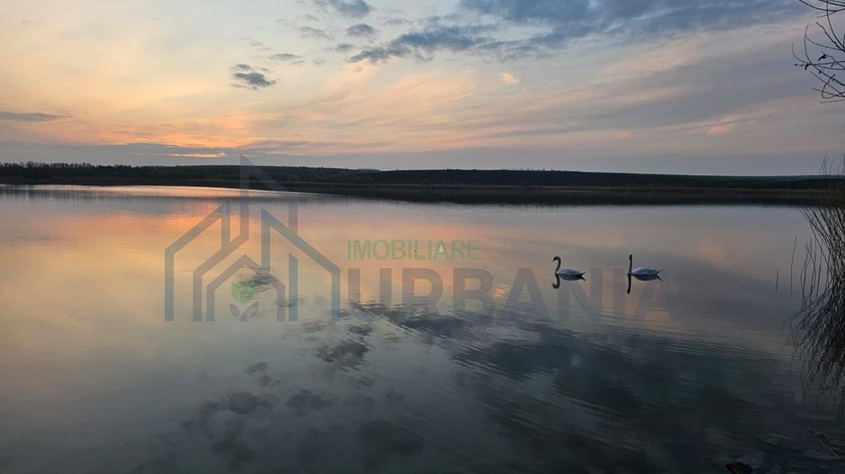 Containere amenajate în regim hotelier, lângă Lacul Chirița, Dancu - Iași - Poză 4