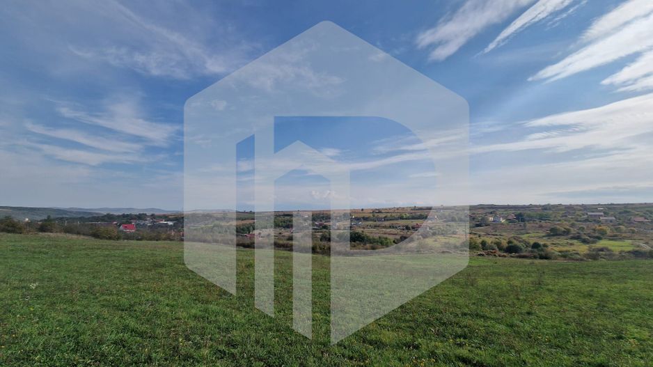 Teren de vanzare - 1500 mp - Daia Noua - Poză 2