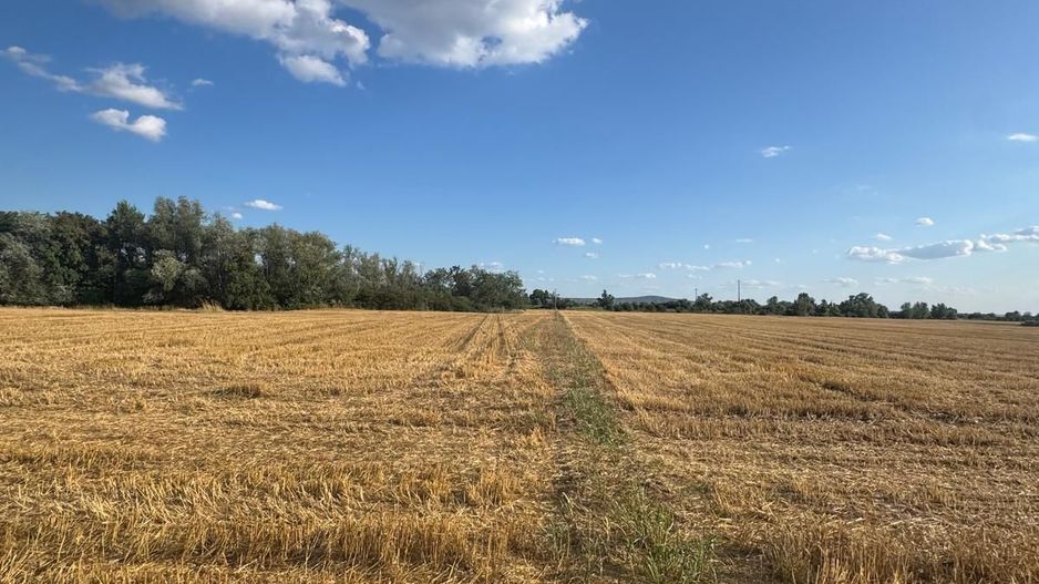 Parcele Teren intravilan Fughiu - Poză 5