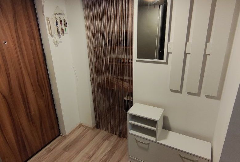 Închiriere Apartament 2 camere decomandat bd. Cantemir - Poză 6