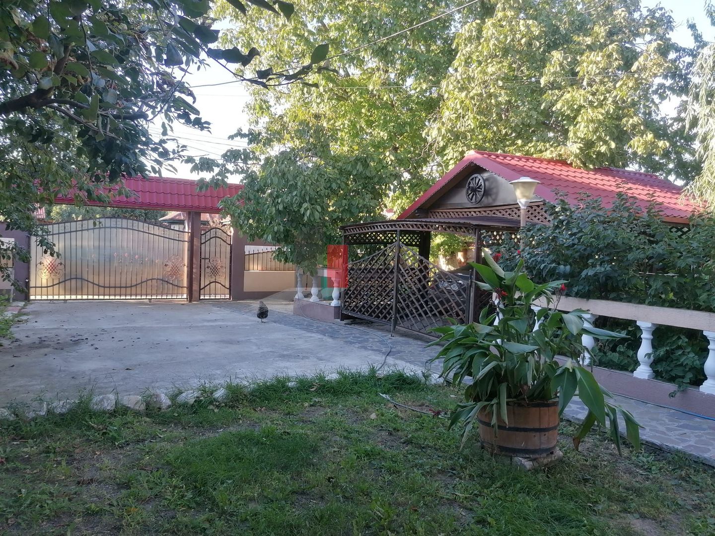 Comuna Dascalu-lfov-Vila D+P+M-5 camere-teren 772mp-ZERO comision cumparator - Poză 17