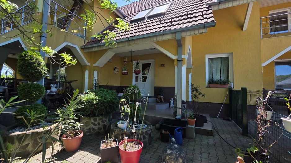 PROPRIETATE PREMIUM CU 4.534 MP TEREN- REGHIN STRADA POMETULUI - Poză 7