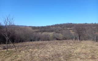 Două case de vânzare – Cerisor – teren generos 6996 mp - Poză 14