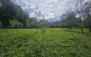 Oportunitate de investiție în Breaza – teren intravilan de 3.591 mp - Poză 11