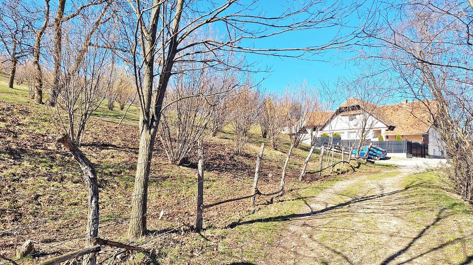 Comision 0%! Teren superb de 17000mp la 5 min de Castelul Bran, 13 euro/mp - Poză 15