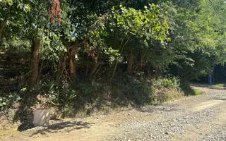 Teren intravilan 1013 mp | Piatra Broaștei | utilități la stradă - Poză 12