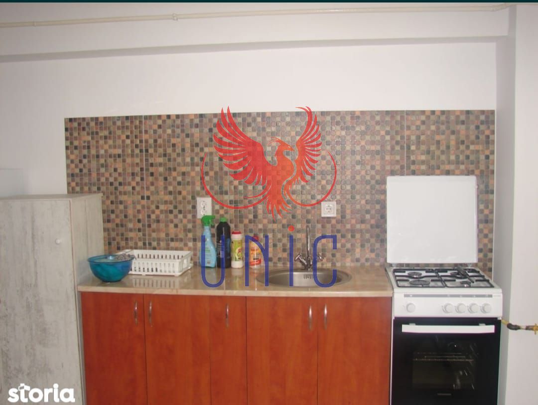 Apartament de inchiriat, 350 Euro - Poză 8