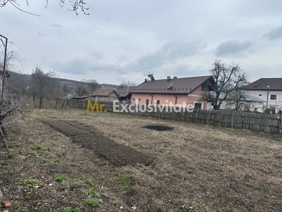 Teren intravilan 1 304 mp - Calinesti- Gorganu-Arges! - Poză 1