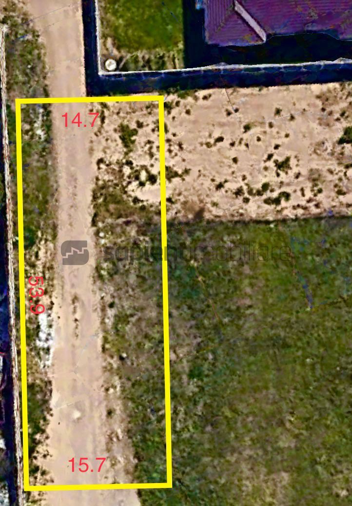 Sapient | Parcele pe str. Plantelor ,Episcopia - Poză 2