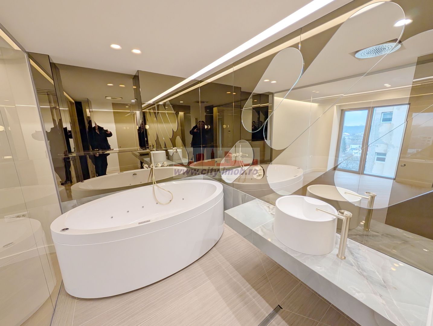 Innhiriere Penthouse Iancu Nicolae Gradina Zoologica - Poză 25