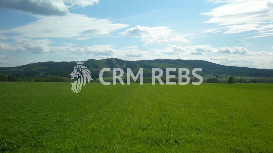 Teren cu PUZ de vanzare in Faget! - Poză 2