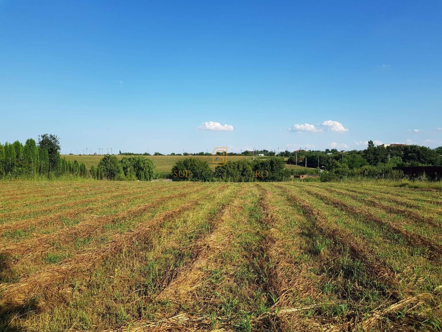 Teren intravilan – Adunatii Copaceni | 3.399 mp | Ideal investitie - Poză 6