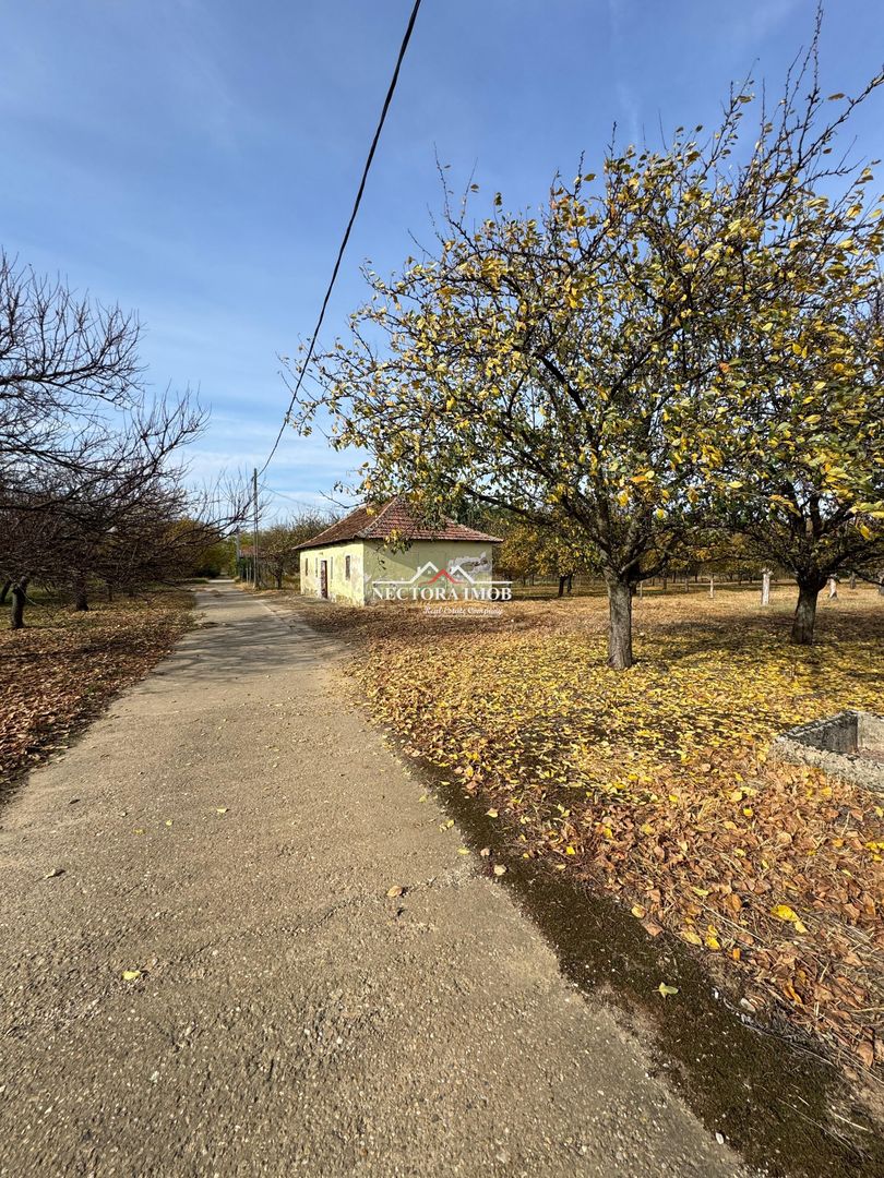 NECTORA IMOB-Teren cu livada matura+Anexa racordata la trifazic,9162mp - Poză 1